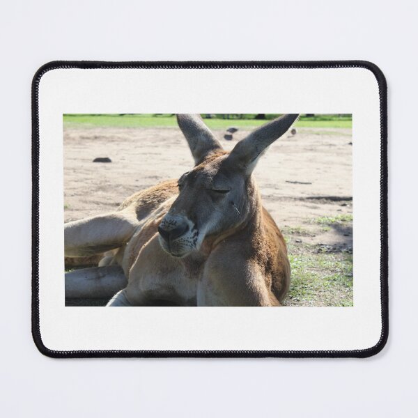 Item preview, Close up Kangaroo  designed and sold by Rizzlewizz.