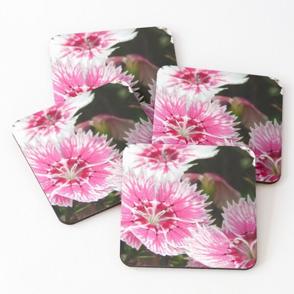 Item preview, Dianthus designed and sold by Hannah Ryman.