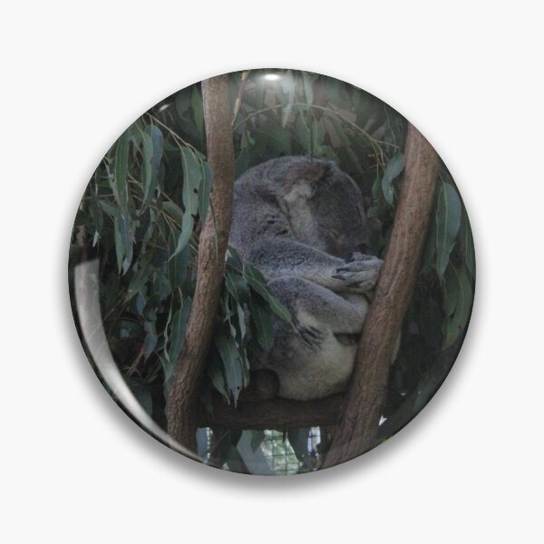 Item preview, Sleepy Koala designed and sold by Rizzlewizz.