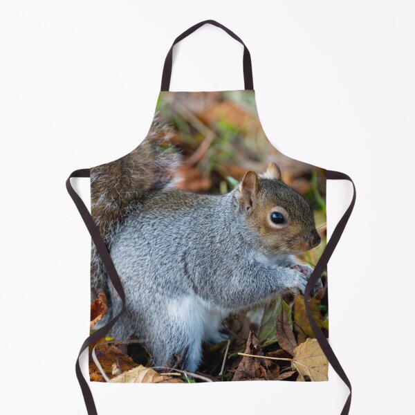 Item preview, Squirrel designed and sold by craigewmcg123.