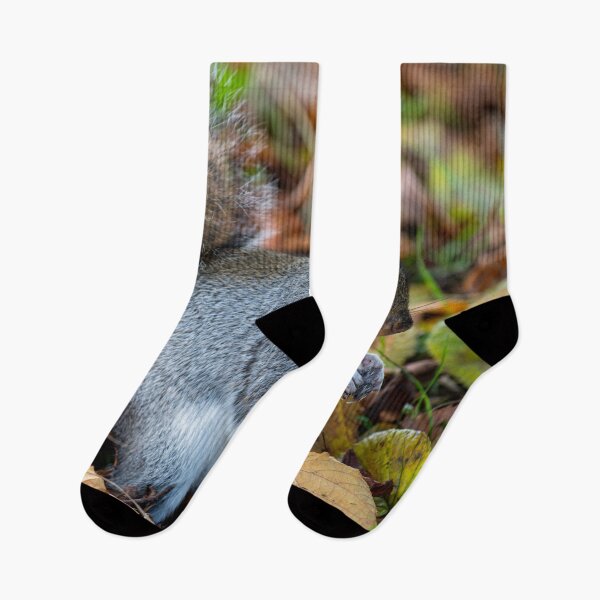 Item preview, Squirrel designed and sold by craigewmcg123.