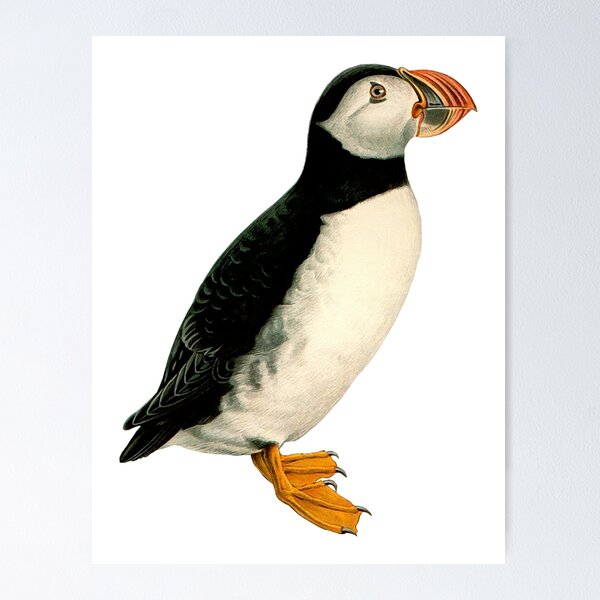 Item preview, Puffin Portrait designed and sold by Futurebeachbum.