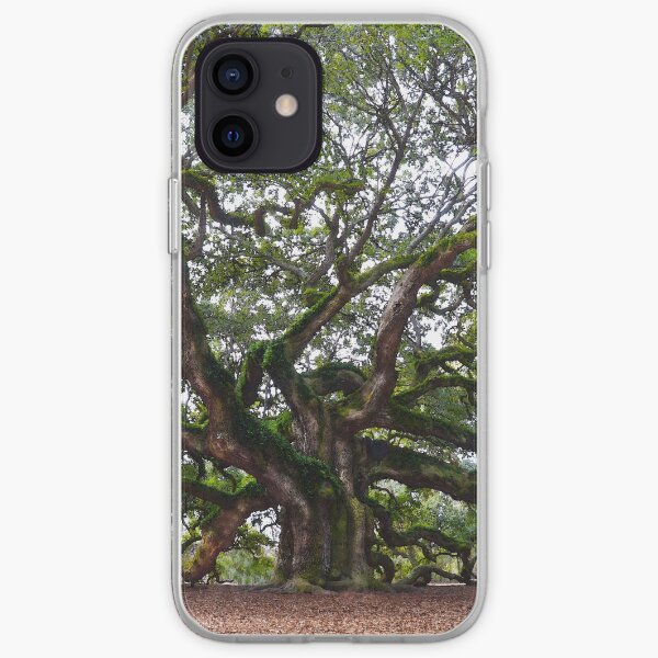 Angel Oak in South Carolina iPhone Soft Case