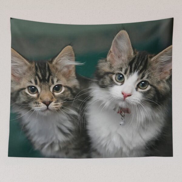 Item preview, Playful Kitten 3 designed and sold by Luap Designs.