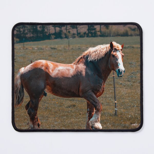 Item preview, Horse Wall Art designed and sold by Bettie-Scott.