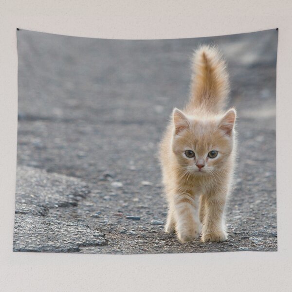 Item preview, Playful Kitten 4 designed and sold by Luap Designs.