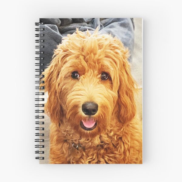 Item preview, Goldendoodle. Photo credit: Anahit Khachatoorian designed and sold by Helga Taylor.