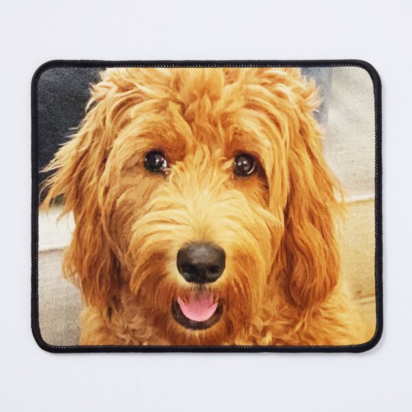Item preview, Goldendoodle. Photo credit: Anahit Khachatoorian designed and sold by Helga Taylor.