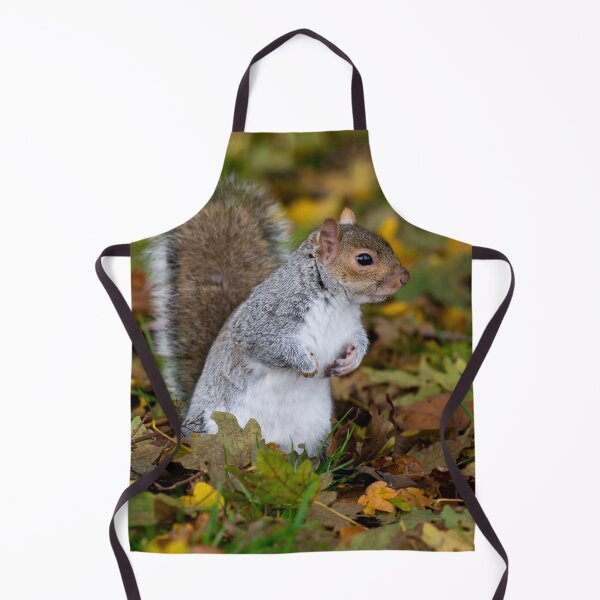 Item preview, Squirrel designed and sold by craigewmcg123.