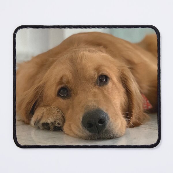 Item preview, Golden Retriever designed and sold by Helga Taylor.