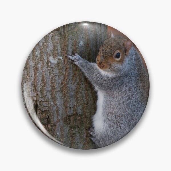 Item preview, Squirrel designed and sold by craigewmcg123.