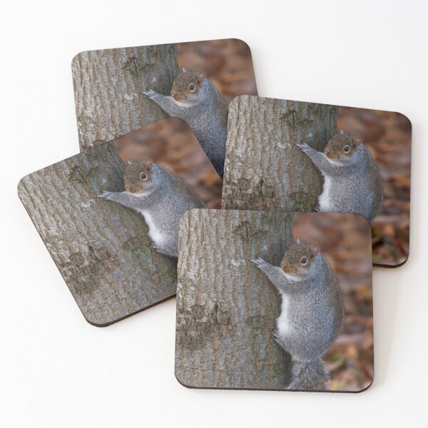 Item preview, Squirrel designed and sold by craigewmcg123.