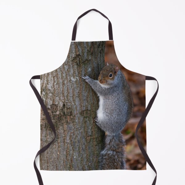 Item preview, Squirrel designed and sold by craigewmcg123.