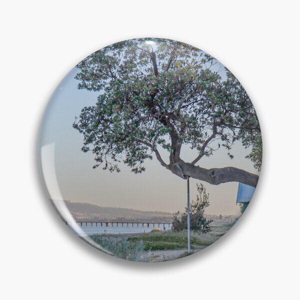 Item preview, Dromana Boat Sheds and Banksia Tree, Mornington Peninsula, Victoria, Australia designed and sold by Vicki Walsh.
