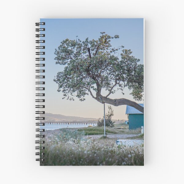 Item preview, Dromana Boat Sheds and Banksia Tree, Mornington Peninsula, Victoria, Australia designed and sold by Vicki Walsh.