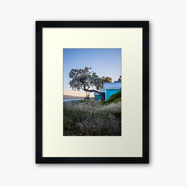 Dromana Boat Sheds and Banksia Tree, Mornington Peninsula, Victoria, Australia Framed Art Print
