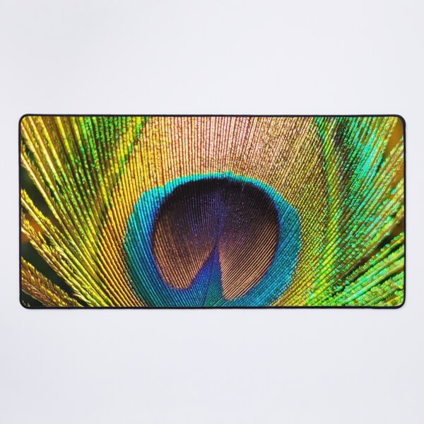 Item preview, Peacock feather photography - nature art bird feathers designed and sold by ArtByScience.