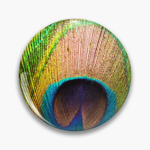 Item preview, Peacock feather photography - nature art bird feathers designed and sold by ArtByScience.