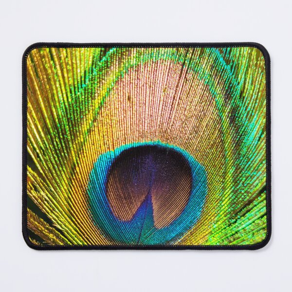 Item preview, Peacock feather photography - nature art bird feathers designed and sold by ArtByScience.