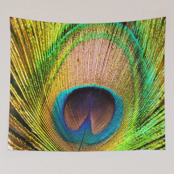 Item preview, Peacock feather photography - nature art bird feathers designed and sold by ArtByScience.