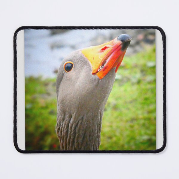 Item preview, Greedy Geese designed and sold by angel1.