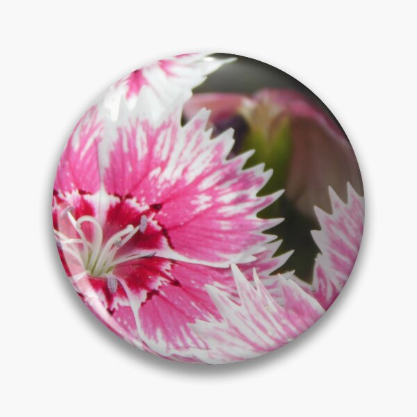 Item preview, Dianthus designed and sold by Hannah Ryman.