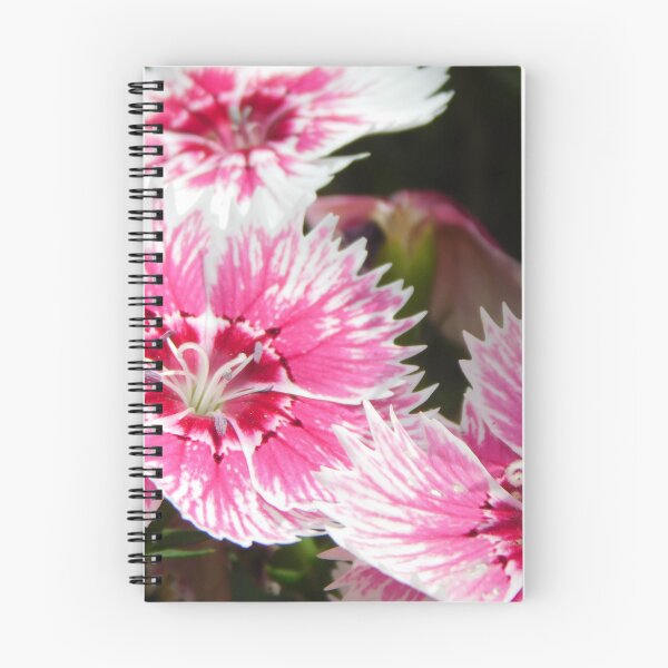 Item preview, Dianthus designed and sold by Hannah Ryman.
