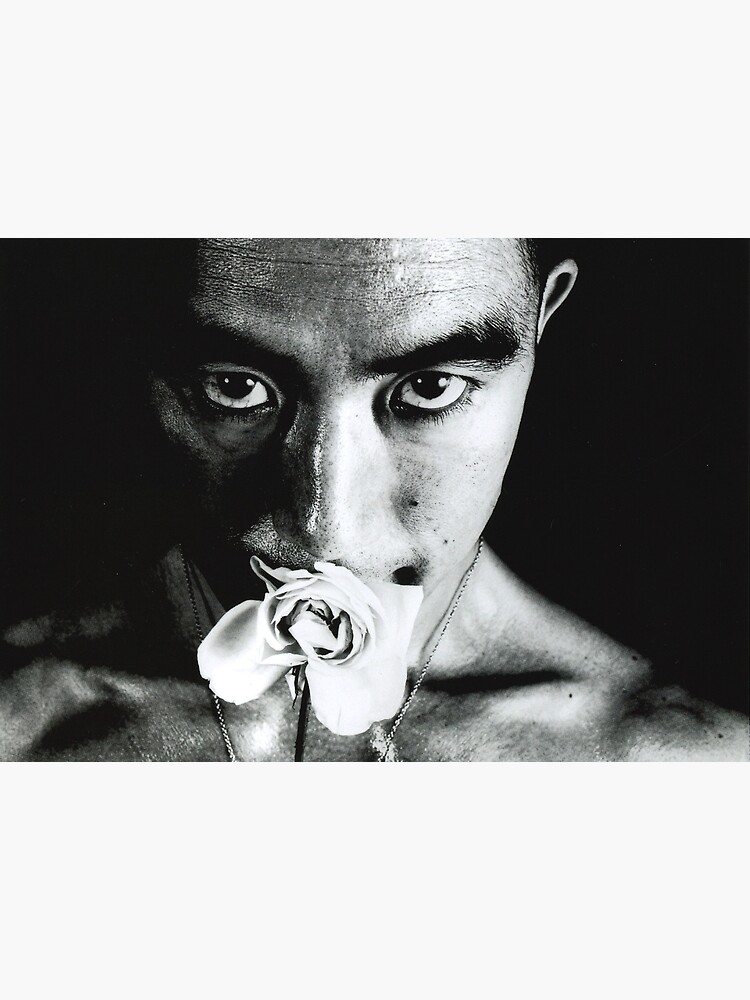 Yukio Mishima Ordeal by Roses