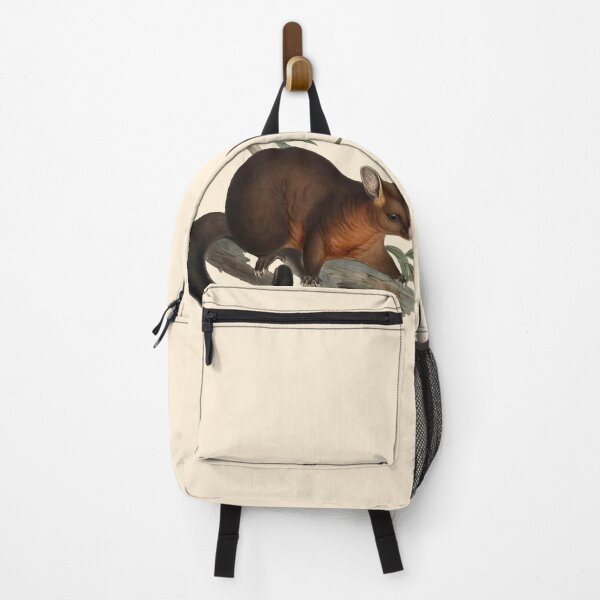 Item preview, The Sooty Opossum (Phalancista Fuliginosa) by John Gould (1804-1881) designed and sold by wildtribe.