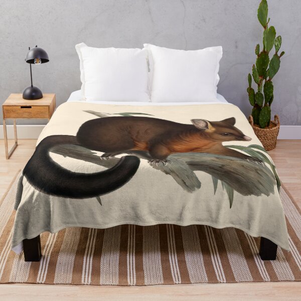 Item preview, The Sooty Opossum (Phalancista Fuliginosa) by John Gould (1804-1881) designed and sold by wildtribe.