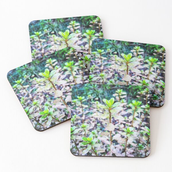 Item preview, Sweet green designed and sold by RosyCloud.
