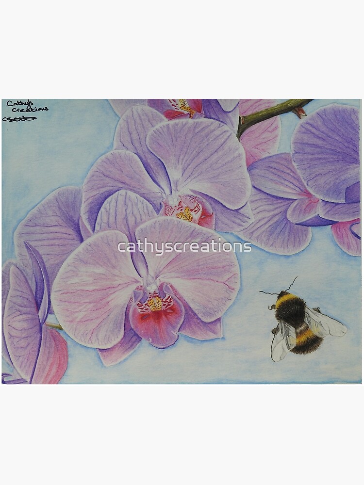 Lámina rígida «Abeja acercándose a la Orquídea Phalaenopsis» de  cathyscreations | Redbubble