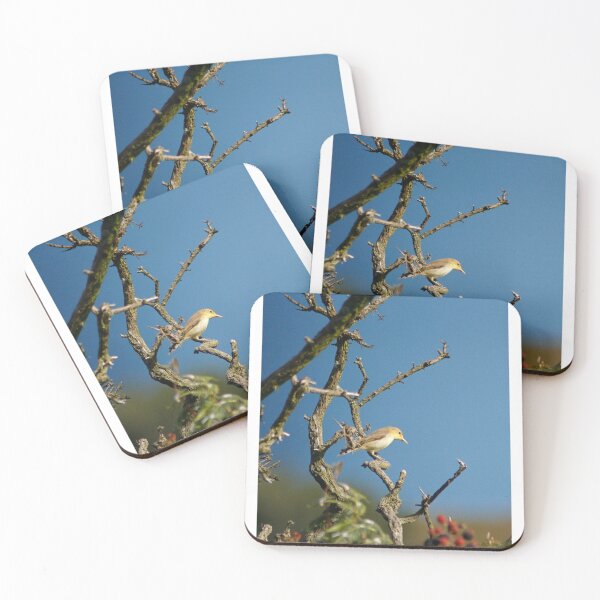 Item preview, Bird designed and sold by iago rodriguez dopico.
