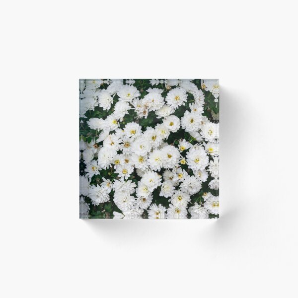 Item preview, White chrysanthemums designed and sold by TheTwoWorlds.