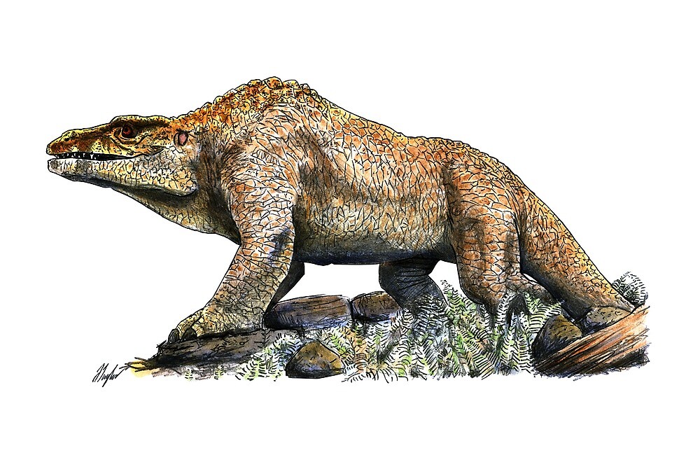 "Retro Megalosaurus" by JedTaylor Redbubble