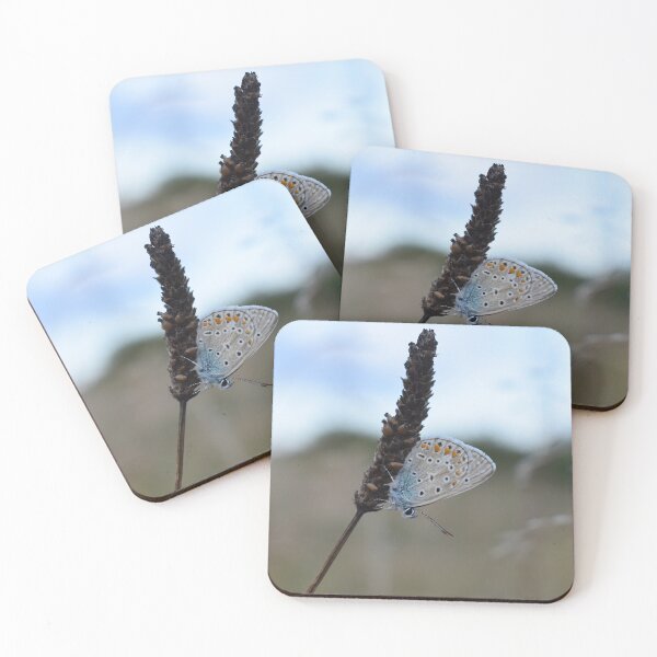 Item preview, Silver-studded blue butterfly designed and sold by GabrielaMoments.