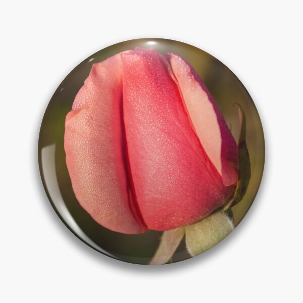 Item preview, Sweetheart Pink Promise - Dewy Petaled Rosebud Unfurling designed and sold by Georgia Mizuleva.