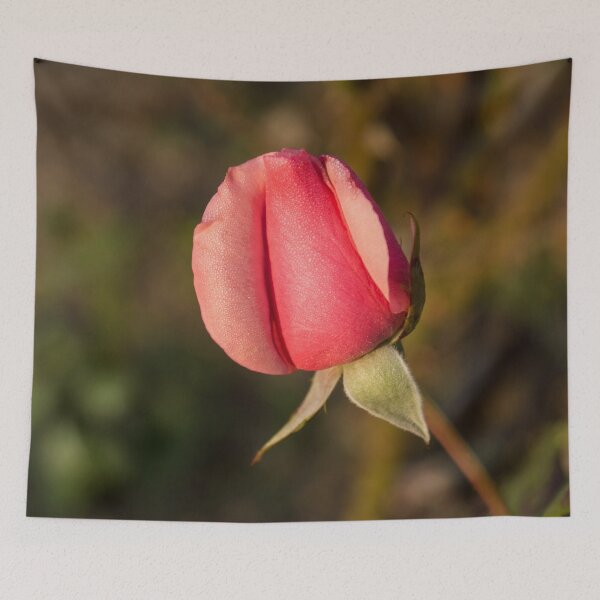 Item preview, Sweetheart Pink Promise - Dewy Petaled Rosebud Unfurling designed and sold by Georgia Mizuleva.