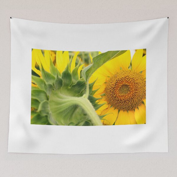 Item preview, sunflower close up summer season agriculture designed and sold by goceris.