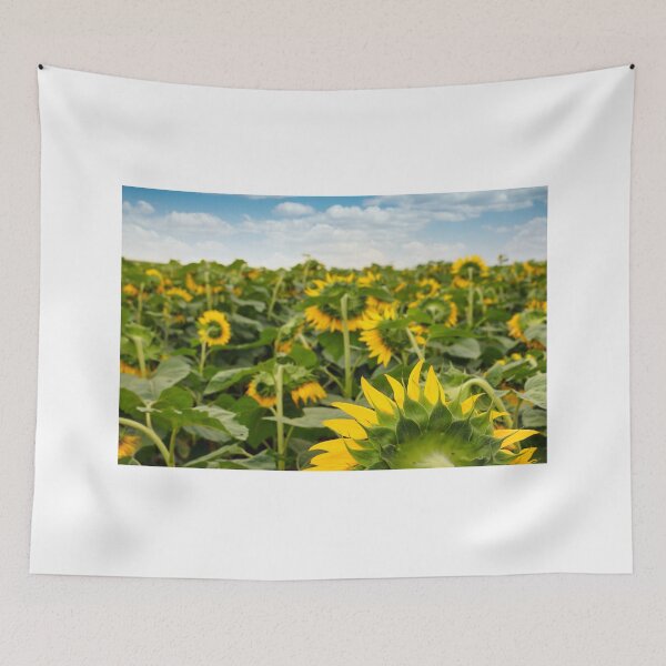 Item preview, sunflower field summer season agriculture designed and sold by goceris.