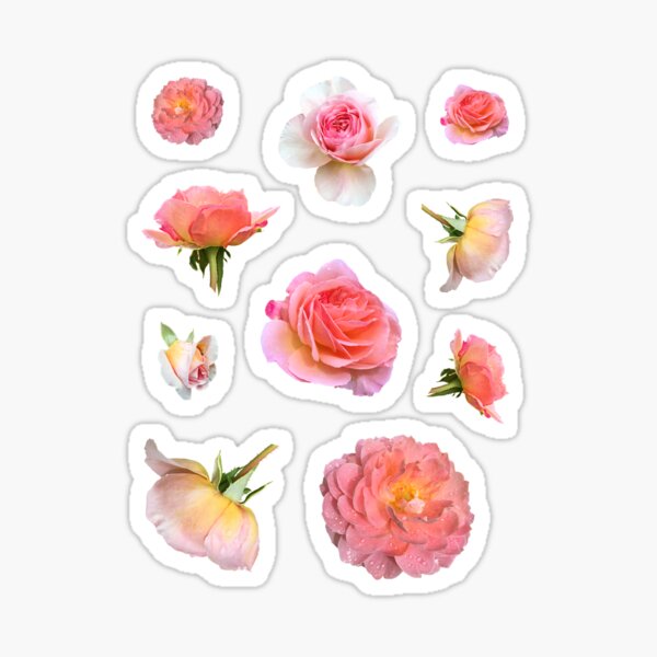 Cute Peach Flowers Sticker, Flower Stickers, Kawaii Journal Stickers, Floral  Water Bottle Decal, Gardening Stickers, Planner Stickers 