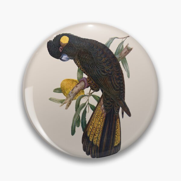 Item preview, Yellow Tailed Black Cockatoo (Zanda funerea) designed and sold by wildtribe.
