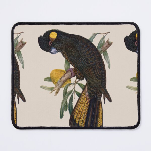 Item preview, Yellow Tailed Black Cockatoo (Zanda funerea) designed and sold by wildtribe.