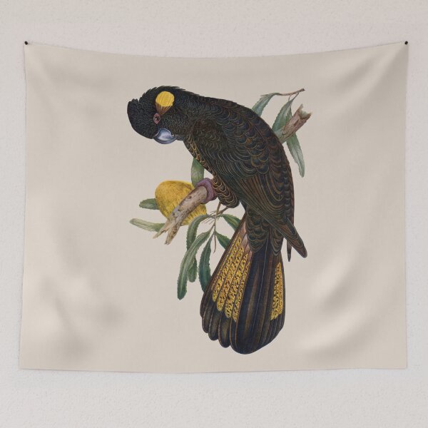 Item preview, Yellow Tailed Black Cockatoo (Zanda funerea) designed and sold by wildtribe.