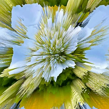 Artwork thumbnail, Exploding Flower by Paddyb17