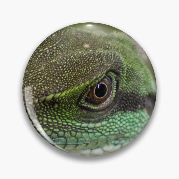 Item preview, Agama, lizard designed and sold by TheTwoWorlds.