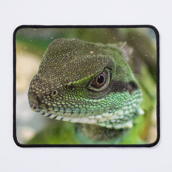 Item preview, Agama, lizard designed and sold by TheTwoWorlds.