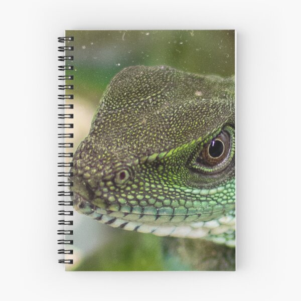 Item preview, Agama, lizard designed and sold by TheTwoWorlds.