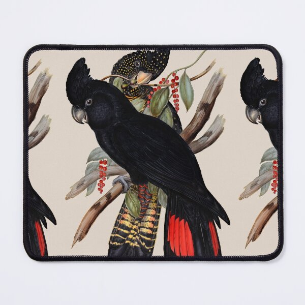 Item preview,  Red-tailed Black Cockatoo (Calyptorhynchus banksii) by John Gould designed and sold by wildtribe.