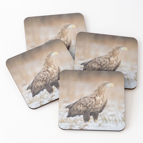 Item preview, Adult White-Tailed Eagle designed and sold by Dominika Aniola.